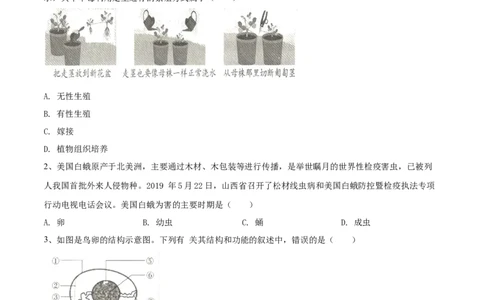 学易金卷：2020-2021学年八年级生物下学期期中测试卷（人教版）03（原卷版）_1、初中学习资料_4-6、生物_4-6-4、初二生物下册_3、期中试卷（3份）