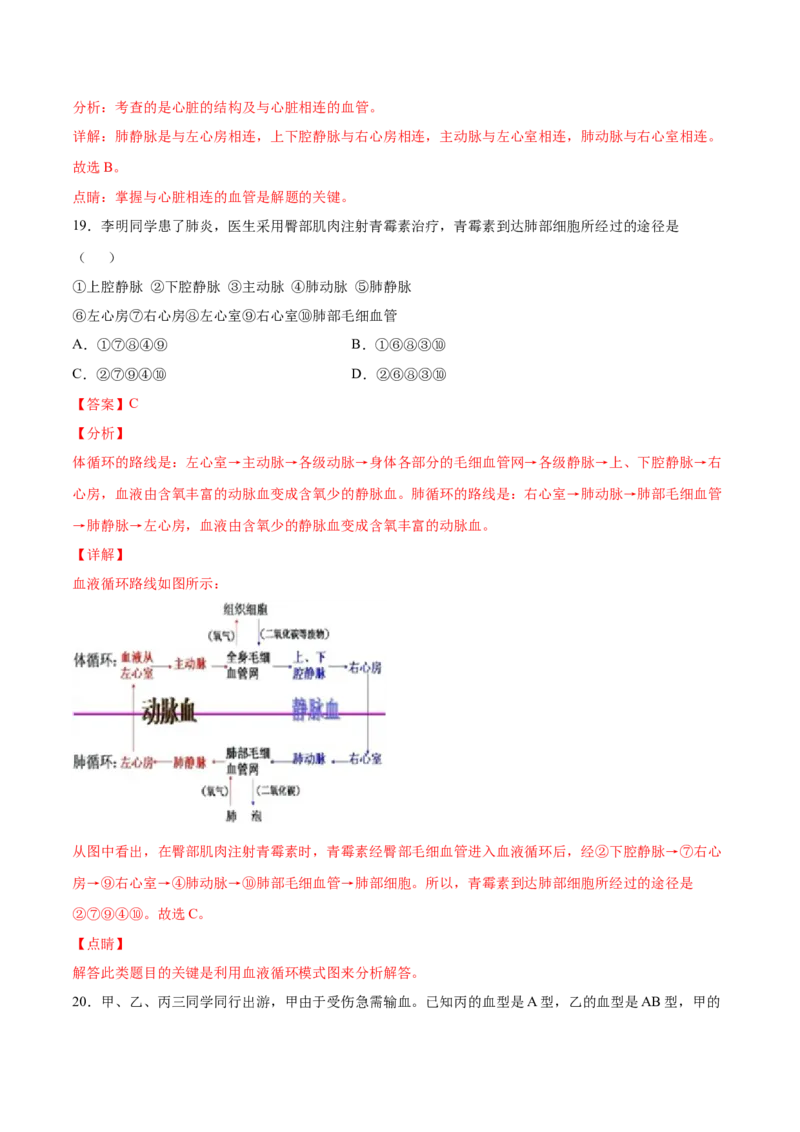学易金卷：2020-2021学年七年级生物下学期期中测试卷（通用版）03（解析版）_1、初中学习资料_4-6、生物_4-6-2、初一生物下册_期中试卷（5份）