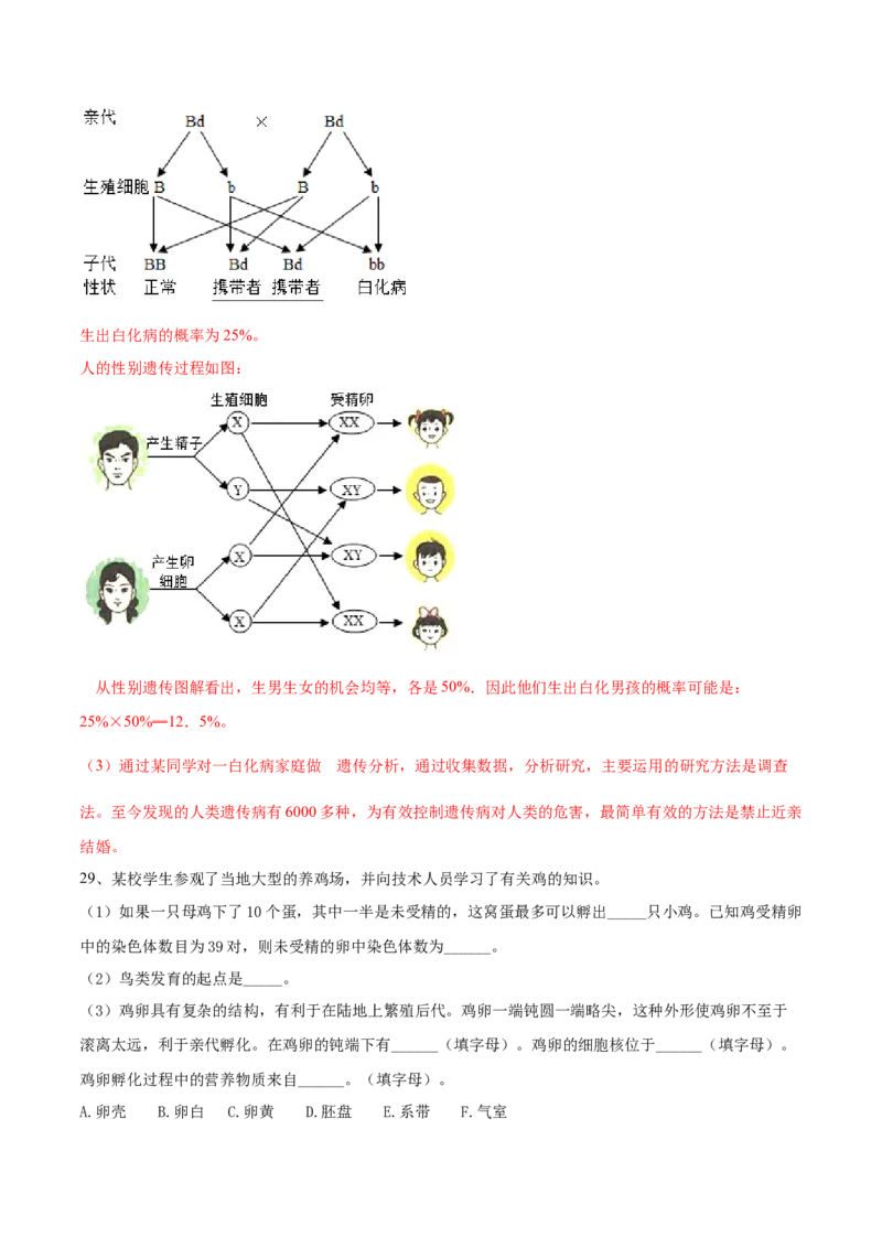 学易金卷：2020-2021学年八年级生物下学期期中测试卷（人教版）02（解析版）_1、初中学习资料_4-6、生物_4-6-4、初二生物下册_3、期中试卷（3份）