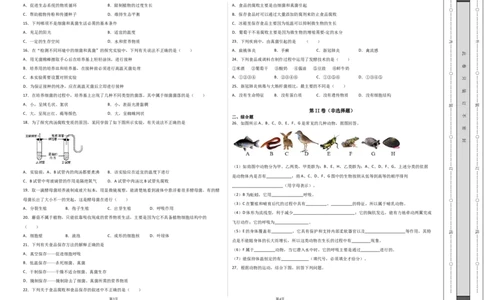 学易金卷：2021-2022学年八年级生物上学期期中测试卷（人教版）02（考试版）_1、初中学习资料_4-6、生物_4-6-3、初二生物上册_3、期中试卷（4份）