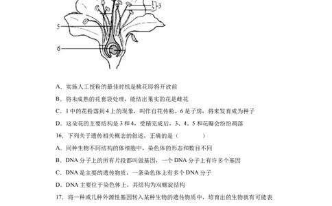卷05-2022-2023学年八年级生物下学期期末综合测试卷（人教版）（原卷版）_new_1、初中学习资料_4-6、生物_4-6-4、初二生物下册_2023更新人教版初中生物8下