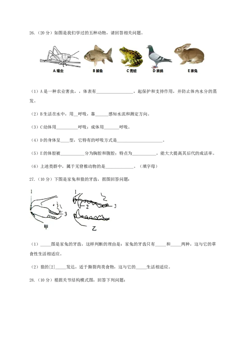 学易金卷：2020-2021学年八年级生物上学期期末测试卷02（人教版）（原卷版）_1、初中学习资料_4-6、生物_4-6-3、初二生物上册_4、期末试卷（35份）