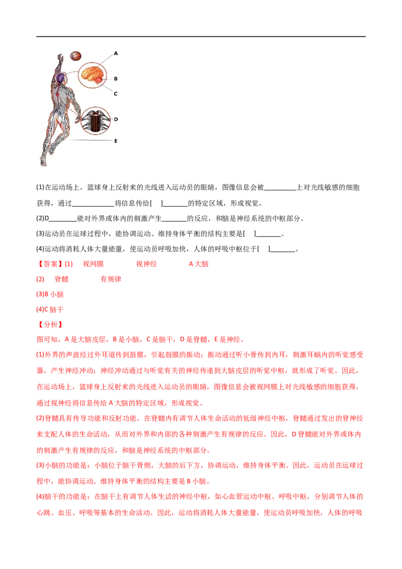 第04单元第06章人体生命活动的调节单元测试（A卷.夯实基础）（A卷&bull;劣实基础）（解析版）_1、初中学习资料_4-6、生物_4-6-2、初一生物下册_单元测试（14份）