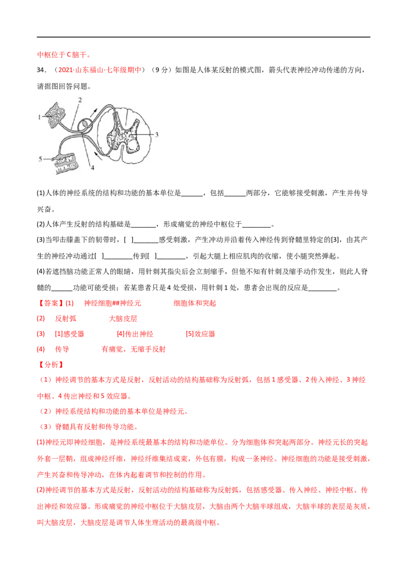 第04单元第06章人体生命活动的调节单元测试（A卷.夯实基础）（A卷&bull;劣实基础）（解析版）_1、初中学习资料_4-6、生物_4-6-2、初一生物下册_单元测试（14份）