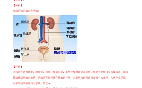 第04单元第05章人体内废物的排出单元测试（A卷.夯实基础）（A卷&bull;劣实基础）（解析版）_1、初中学习资料_4-6、生物_4-6-2、初一生物下册_单元测试（14份）