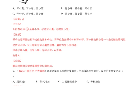 第04单元第05章人体内废物的排出单元测试（A卷.夯实基础）（A卷&bull;劣实基础）（解析版）_1、初中学习资料_4-6、生物_4-6-2、初一生物下册_单元测试（14份）