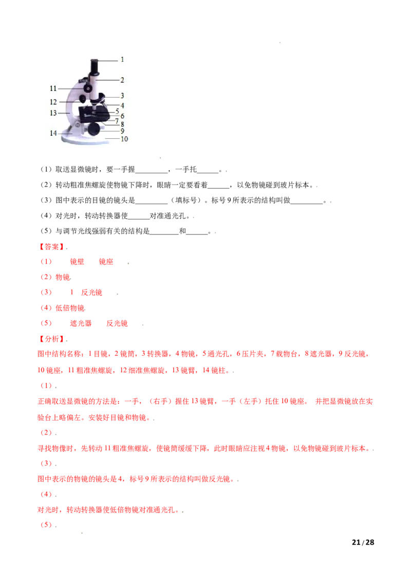 第02单元第01章细胞是生命活动的基本单位单元测试（B卷&middot;提升能力）（解析版）_1、初中学习资料_4-6、生物_4-6-1、初一生物上册_单元测试（20份）_1、单元测试第1套（10份）
