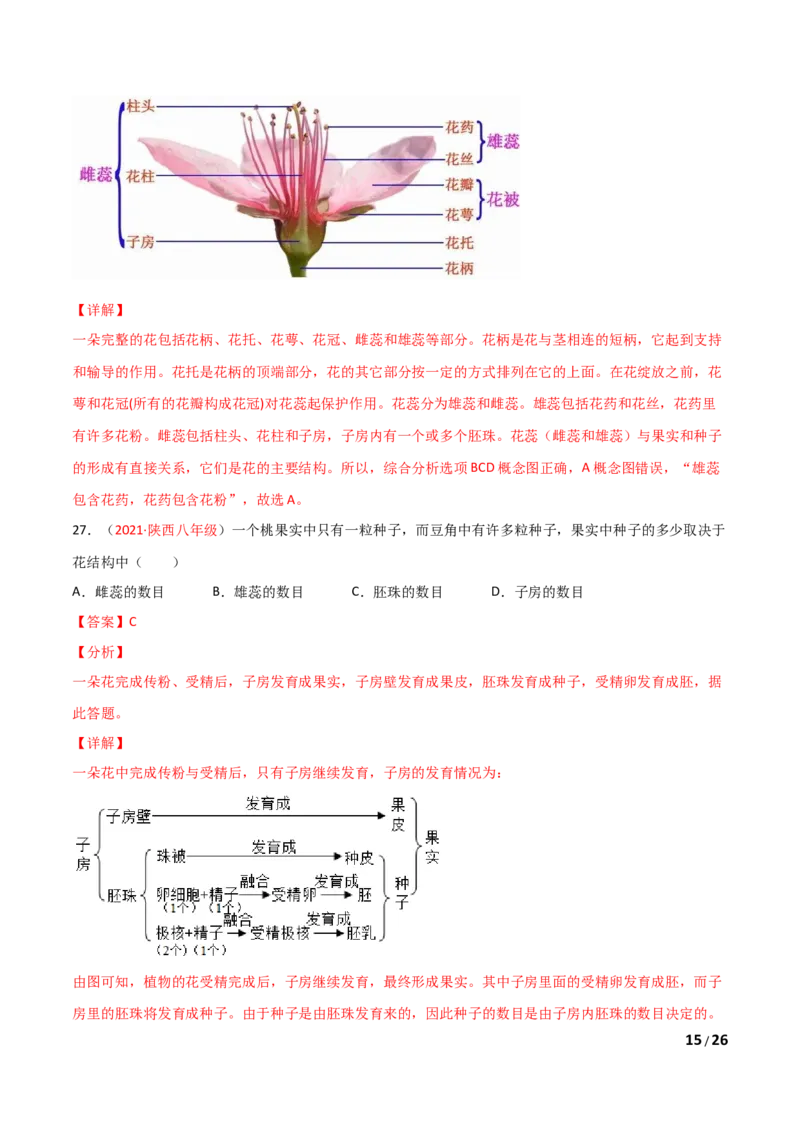 第03单元第01章生物圈中有哪些绿色植物、02章被子植物的一生单元测试（B卷&middot;提升能力）（解析版）_1、初中学习资料_4-6、生物_4-6-1、初一生物上册_单元测试（20份）