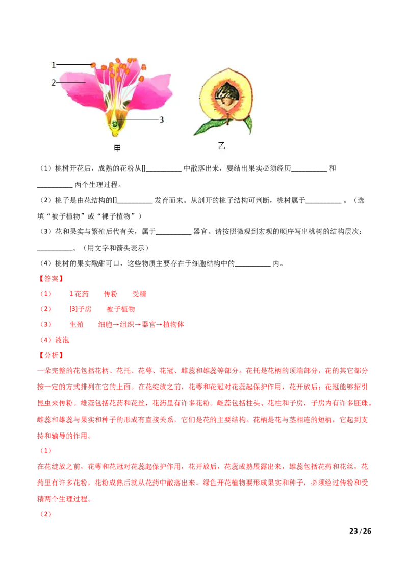 第03单元第01章生物圈中有哪些绿色植物、02章被子植物的一生单元测试（B卷&middot;提升能力）（解析版）_1、初中学习资料_4-6、生物_4-6-1、初一生物上册_单元测试（20份）