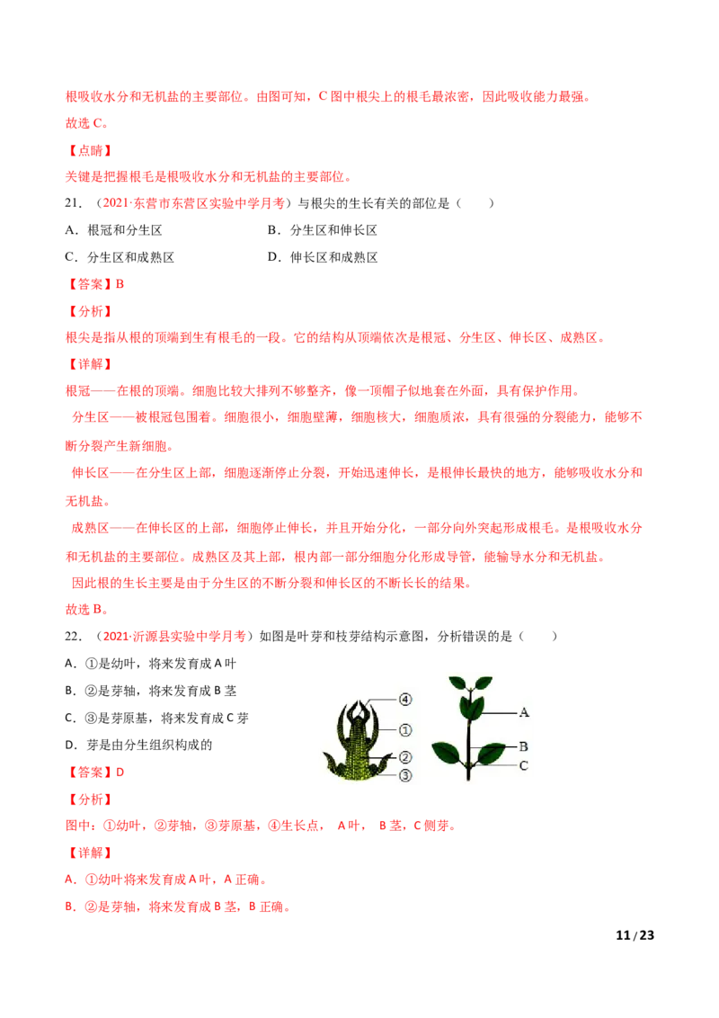第03单元第01章生物圈中有哪些绿色植物、02章被子植物的一生单元测试（A卷&bull;劣实基础）（解析版）_1、初中学习资料_4-6、生物_4-6-1、初一生物上册_单元测试（20份）