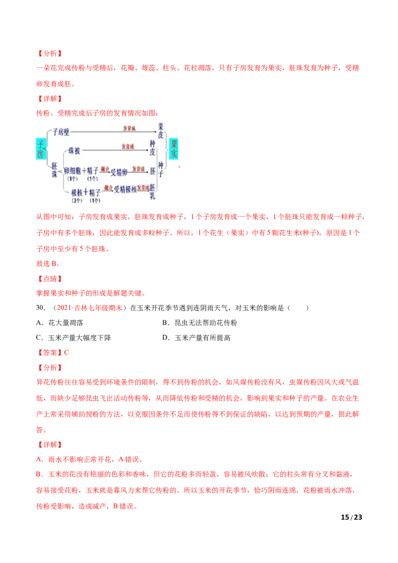 第03单元第01章生物圈中有哪些绿色植物、02章被子植物的一生单元测试（A卷&bull;劣实基础）（解析版）_1、初中学习资料_4-6、生物_4-6-1、初一生物上册_单元测试（20份）