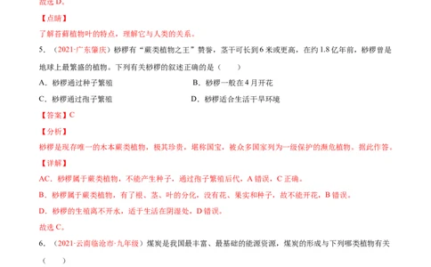 第03单元第01章生物圈中有哪些绿色植物、02章被子植物的一生单元测试（A卷&bull;劣实基础）（解析版）_1、初中学习资料_4-6、生物_4-6-1、初一生物上册_单元测试（20份）