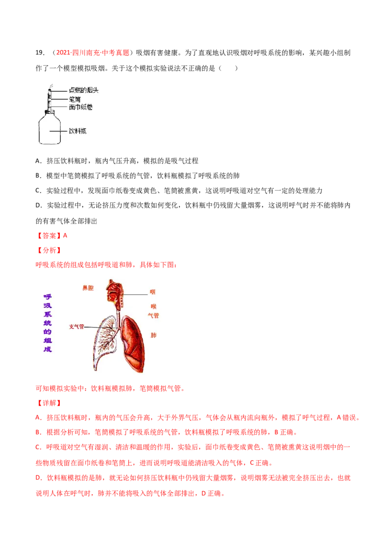 第03单元人体的呼吸（B卷&middot;提升能力）（解析版）_1、初中学习资料_4-6、生物_4-6-2、初一生物下册_单元测试（14份）