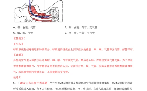 第03单元人体的呼吸（B卷&middot;提升能力）（解析版）_1、初中学习资料_4-6、生物_4-6-2、初一生物下册_单元测试（14份）