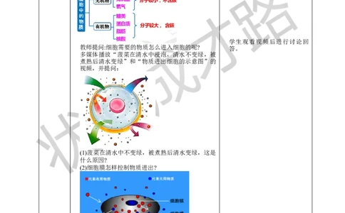 第四节细胞的生活_1、初中学习资料_2024秋改版_七上生物最新版课件_教案_第一单元生物和细胞_第二章认识细胞