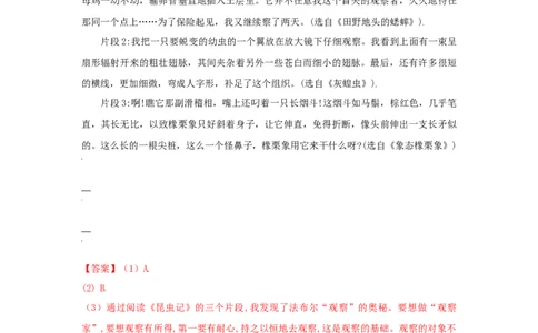 第04单元（B卷&middot;提升能力）-八年级语文上册同步单元AB卷（解析版）_1、初中学习资料_4-1、语文_4-1-3、初二语文上册_部编语文八年级上单元试卷（018份）