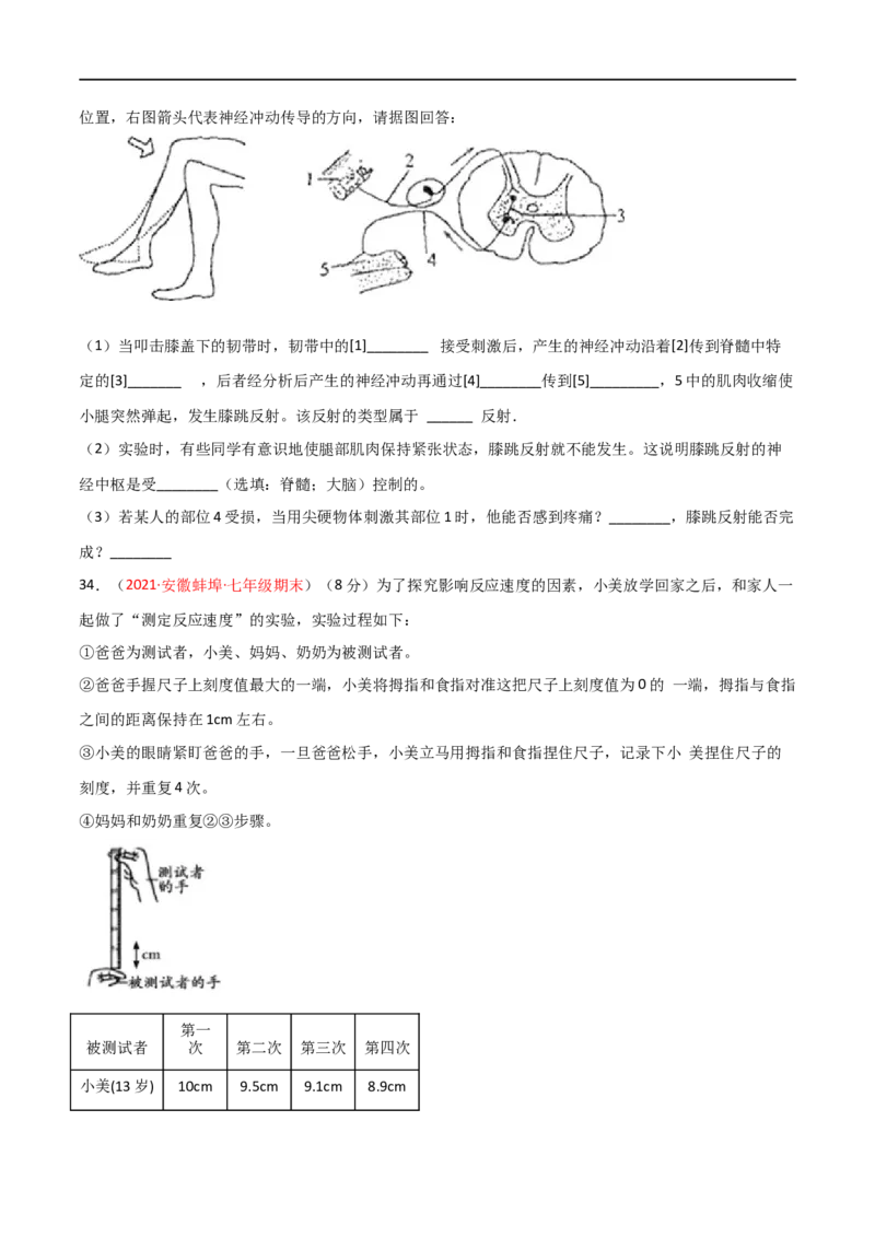 第04单元第06章人体生命活动的调节单元测试（B卷&middot;提升能力）（原卷版）_1、初中学习资料_4-6、生物_4-6-2、初一生物下册_单元测试（14份）