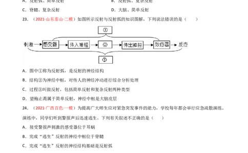 第04单元第06章人体生命活动的调节单元测试（B卷&middot;提升能力）（原卷版）_1、初中学习资料_4-6、生物_4-6-2、初一生物下册_单元测试（14份）
