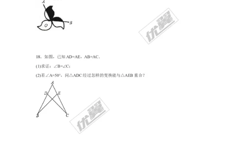 第三章图形的平移与旋转周周测6（3.2~3.4）_1、初中学习资料_4-2、数学_北师大版_北师大版初中数学8下_2022春八数下(BS)--各阶段精品试题_周周测