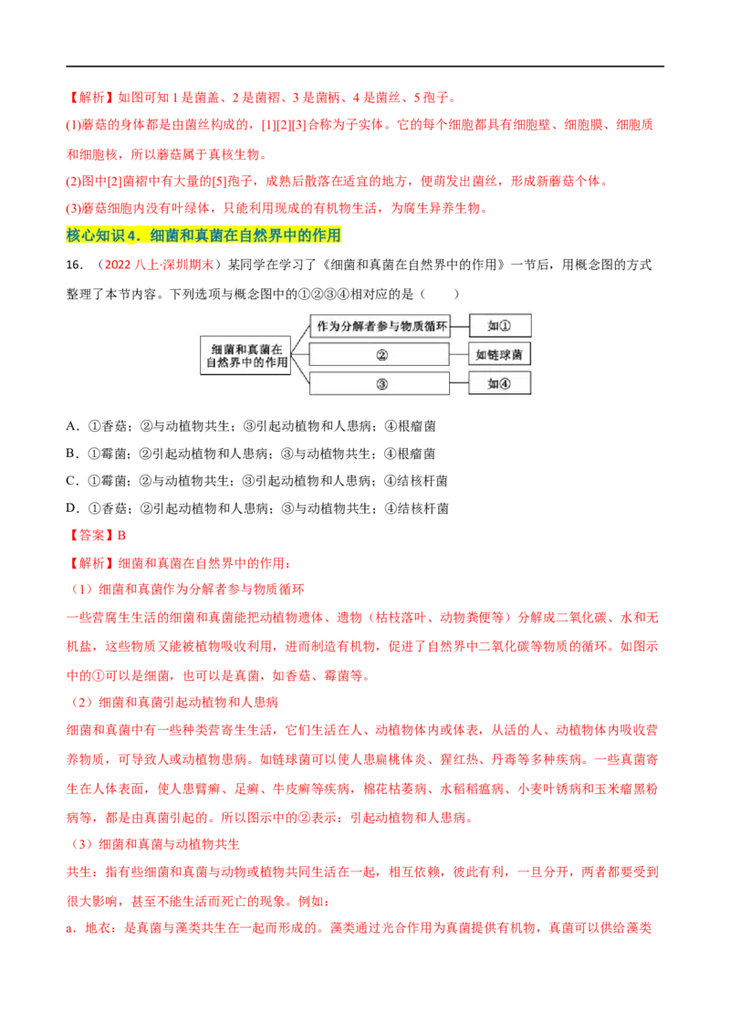 第四、五章细菌、真菌和病毒（A卷&middot;知识通关练）（解析版）_1、初中学习资料_4-6、生物_4-6-3、初二生物上册_2、单元测试（23份）_1、第1套单元测试2022-2023学年