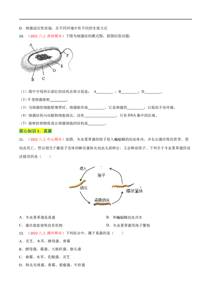 第四、五章细菌、真菌和病毒（A卷&middot;知识通关练）（原卷版）_1、初中学习资料_4-6、生物_4-6-3、初二生物上册_2、单元测试（23份）_1、第1套单元测试2022-2023学年