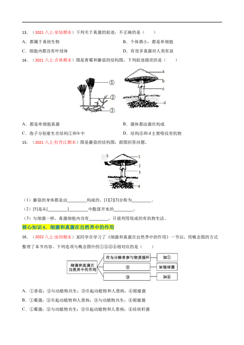 第四、五章细菌、真菌和病毒（A卷&middot;知识通关练）（原卷版）_1、初中学习资料_4-6、生物_4-6-3、初二生物上册_2、单元测试（23份）_1、第1套单元测试2022-2023学年