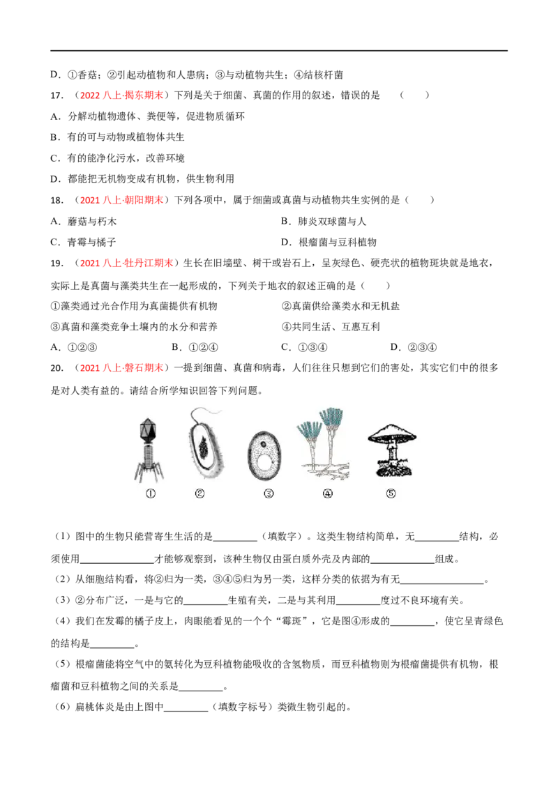 第四、五章细菌、真菌和病毒（A卷&middot;知识通关练）（原卷版）_1、初中学习资料_4-6、生物_4-6-3、初二生物上册_2、单元测试（23份）_1、第1套单元测试2022-2023学年