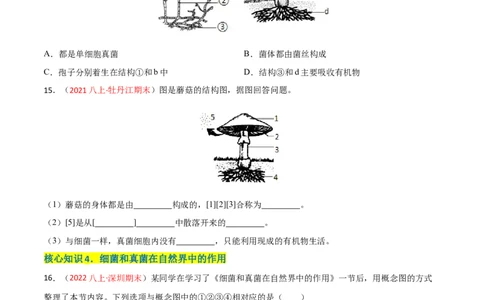 第四、五章细菌、真菌和病毒（A卷&middot;知识通关练）（原卷版）_1、初中学习资料_4-6、生物_4-6-3、初二生物上册_2、单元测试（23份）_1、第1套单元测试2022-2023学年