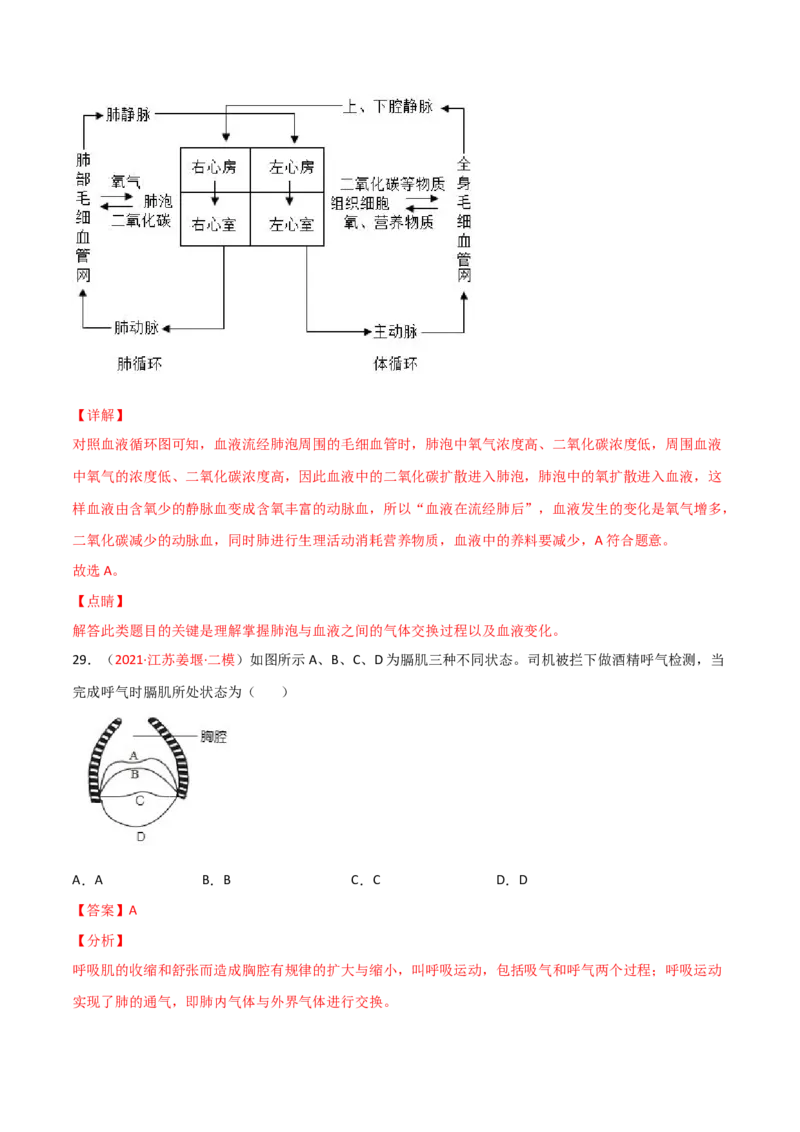 第03单元人体的呼吸（A卷.夯实基础）（解析版）_1、初中学习资料_4-6、生物_4-6-2、初一生物下册_单元测试（14份）