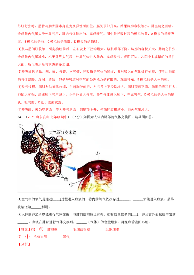 第03单元人体的呼吸（A卷.夯实基础）（解析版）_1、初中学习资料_4-6、生物_4-6-2、初一生物下册_单元测试（14份）