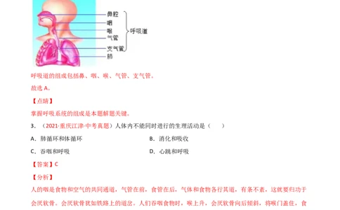 第03单元人体的呼吸（A卷.夯实基础）（解析版）_1、初中学习资料_4-6、生物_4-6-2、初一生物下册_单元测试（14份）