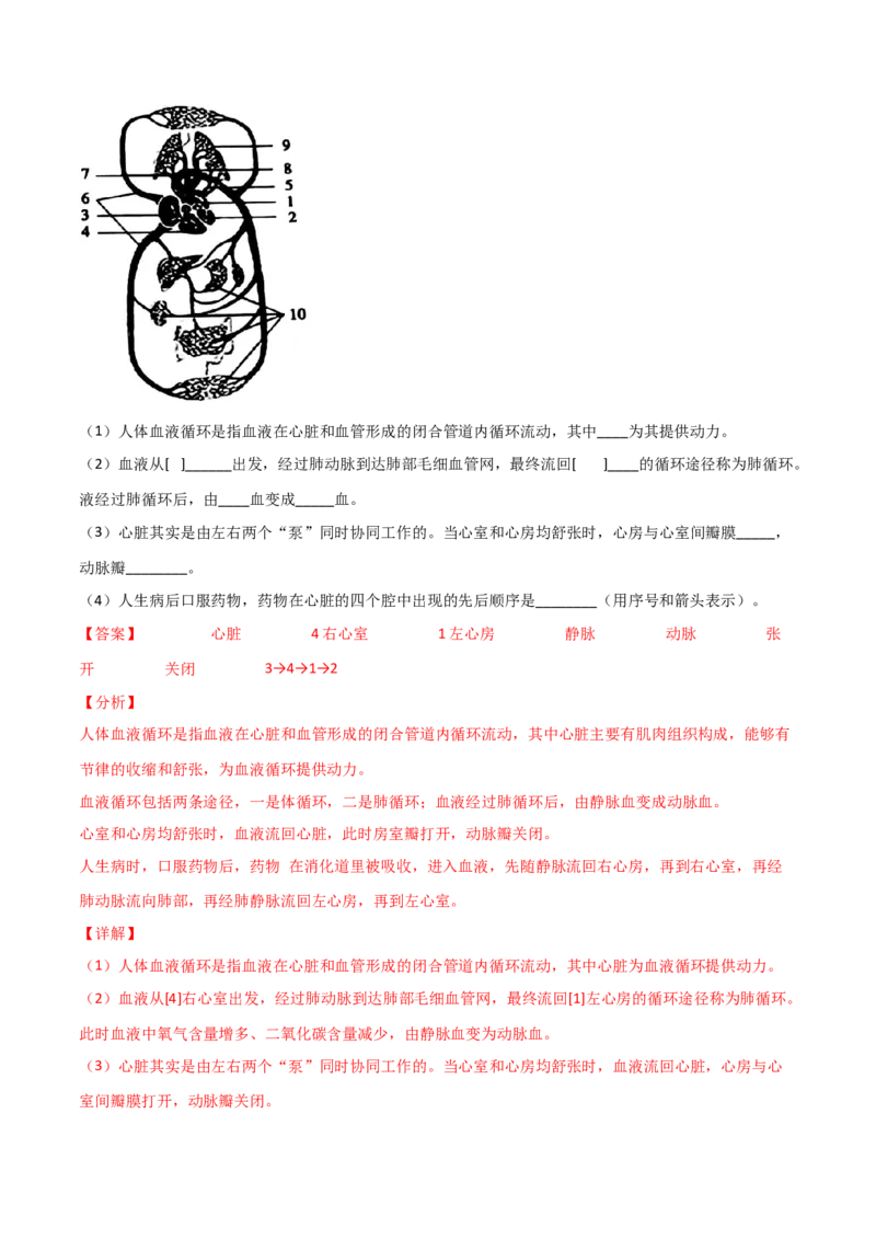 第04单元人体内物质的运输（A卷&bull;劣实基础）（解析版）_1、初中学习资料_4-6、生物_4-6-2、初一生物下册_单元测试（14份）