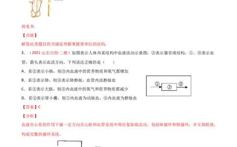 第04单元第05章人体内废物的排出单元测试（B卷&middot;提升能力）（解析版）_1、初中学习资料_4-6、生物_4-6-2、初一生物下册_单元测试（14份）