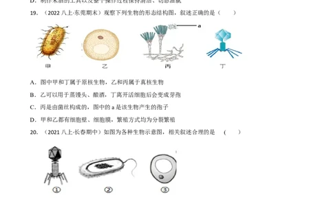 第四、五章细菌、真菌和病毒（B卷&middot;能力提升练）（原卷版）_1、初中学习资料_4-6、生物_4-6-3、初二生物上册_2、单元测试（23份）_1、第1套单元测试2022-2023学年