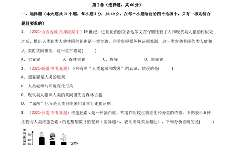 第01章人的由来单元测试（B卷&middot;提升能力）（原卷版）_1、初中学习资料_4-6、生物_4-6-2、初一生物下册_单元测试（14份）