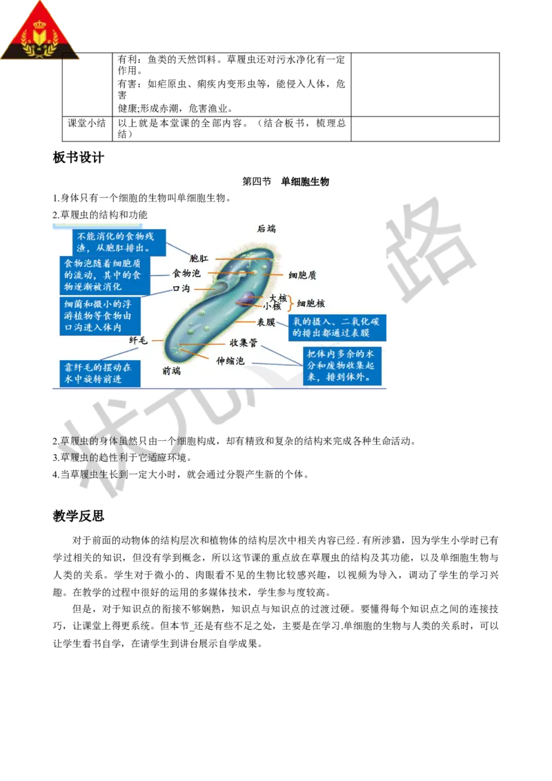 第四节单细胞生物_1、初中学习资料_2024秋改版_七上生物最新版课件_教案_第一单元生物和细胞_第三章从细胞到生物体