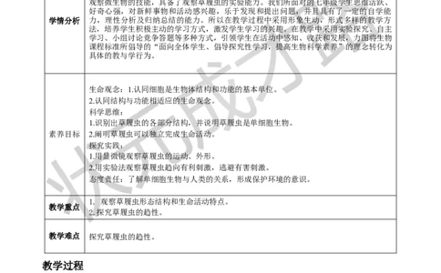第四节单细胞生物_1、初中学习资料_2024秋改版_七上生物最新版课件_教案_第一单元生物和细胞_第三章从细胞到生物体