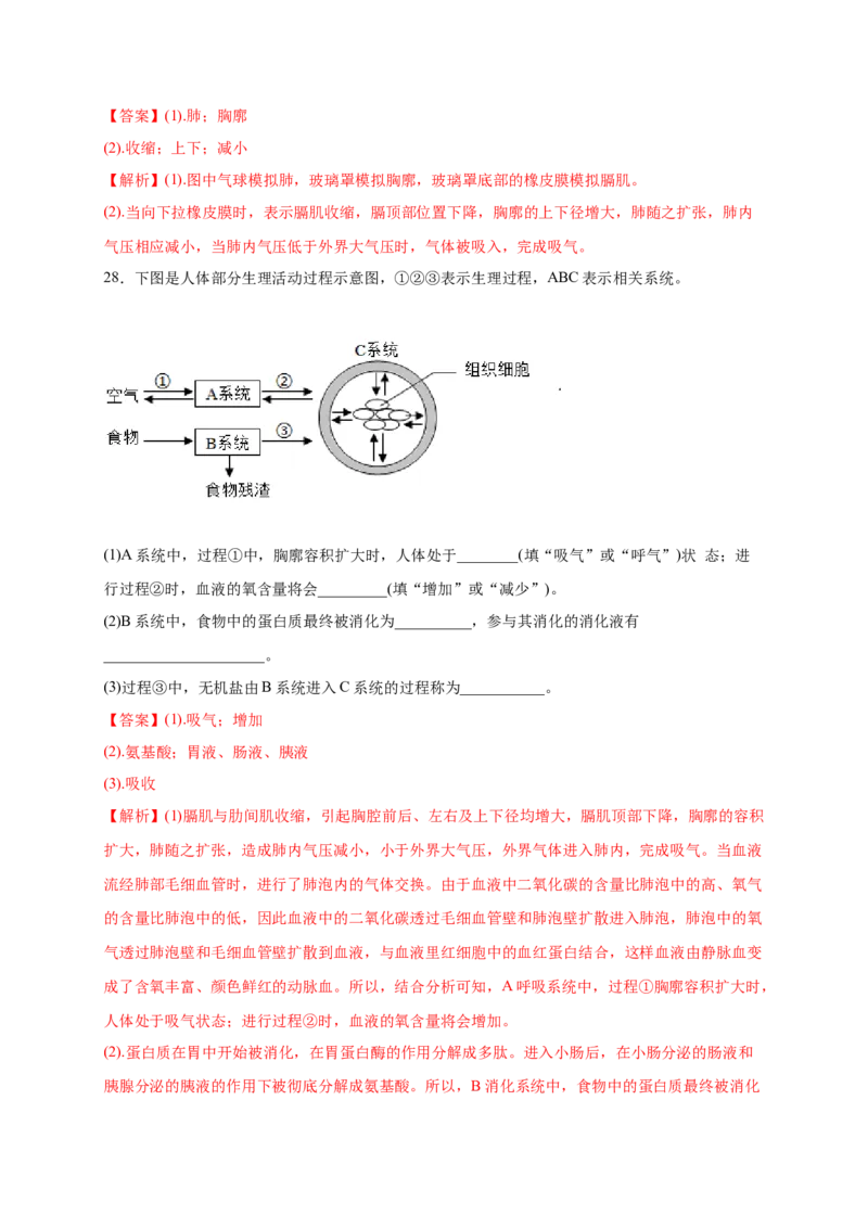 第三章人体的呼吸（满分培优卷）-2021-2022学年七年级生物下册基础与培优高效突破测试卷（人教版）（解析版）_new_1、初中学习资料_4-6、生物_4-6-2、初一生物下册