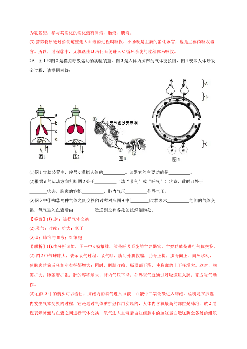 第三章人体的呼吸（满分培优卷）-2021-2022学年七年级生物下册基础与培优高效突破测试卷（人教版）（解析版）_new_1、初中学习资料_4-6、生物_4-6-2、初一生物下册