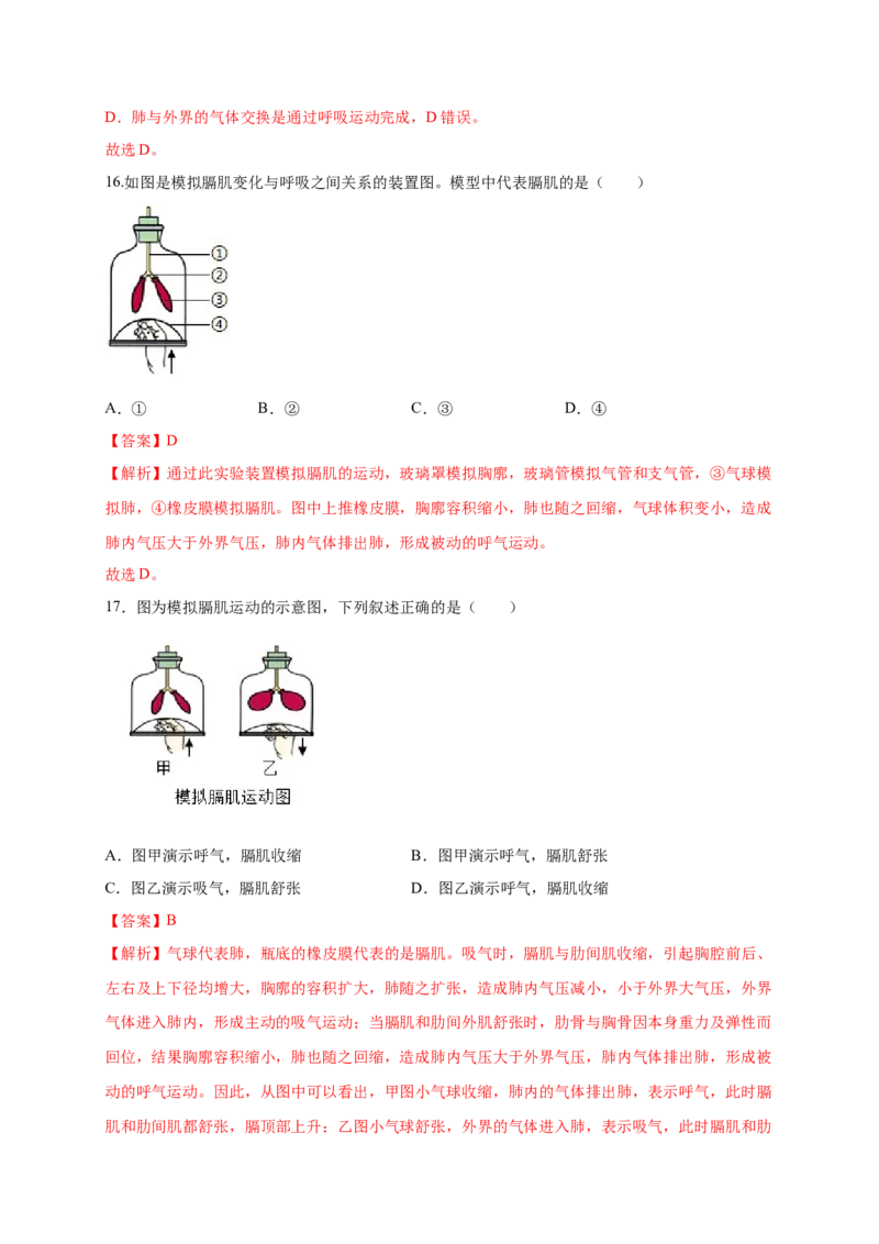 第三章人体的呼吸（满分培优卷）-2021-2022学年七年级生物下册基础与培优高效突破测试卷（人教版）（解析版）_new_1、初中学习资料_4-6、生物_4-6-2、初一生物下册