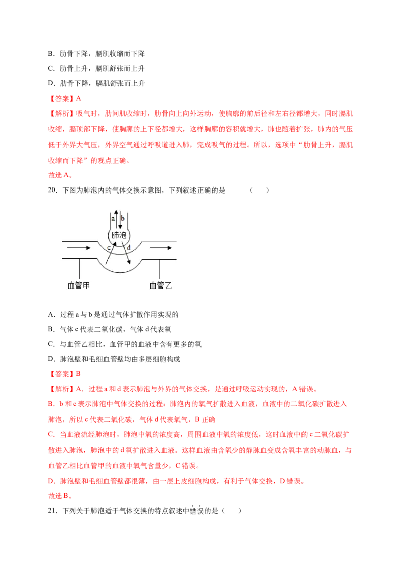 第三章人体的呼吸（满分培优卷）-2021-2022学年七年级生物下册基础与培优高效突破测试卷（人教版）（解析版）_new_1、初中学习资料_4-6、生物_4-6-2、初一生物下册