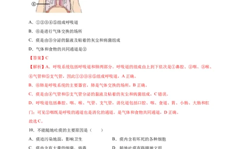 第三章人体的呼吸（满分培优卷）-2021-2022学年七年级生物下册基础与培优高效突破测试卷（人教版）（解析版）_new_1、初中学习资料_4-6、生物_4-6-2、初一生物下册