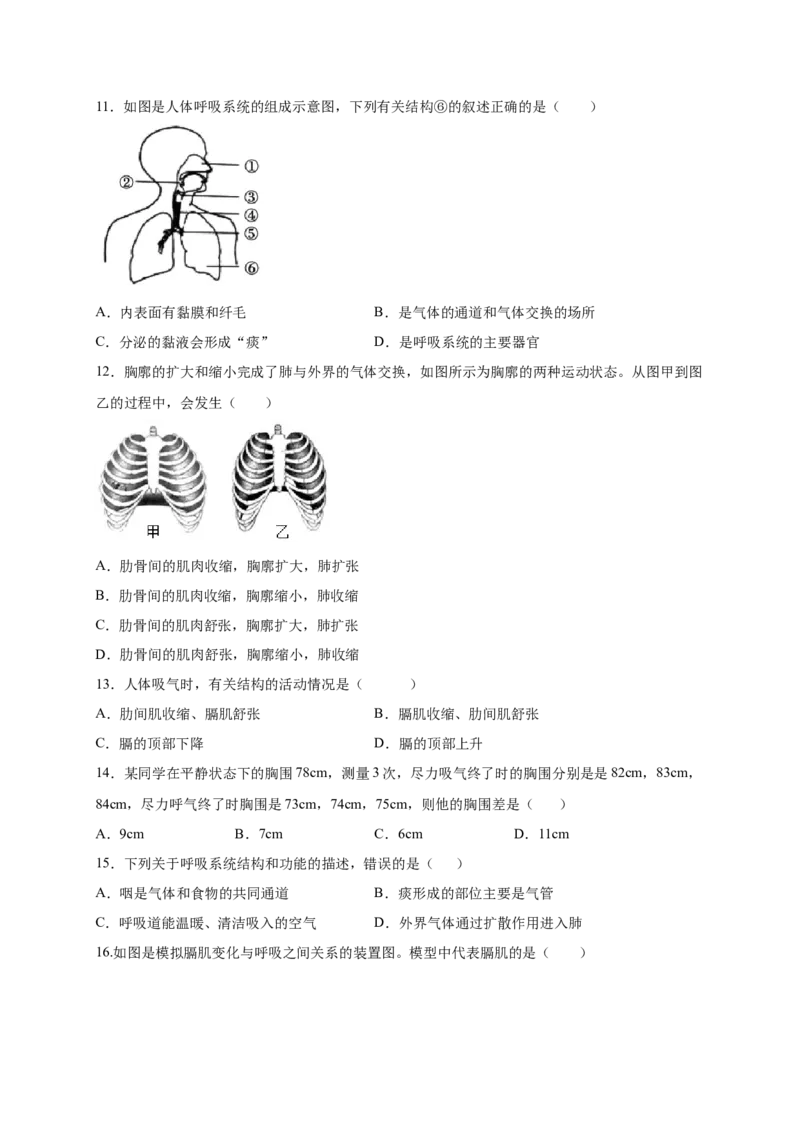 第三章人体的呼吸（满分培优卷）-2021-2022学年七年级生物下册基础与培优高效突破测试卷（人教版）（原卷版）_new_1、初中学习资料_4-6、生物_4-6-2、初一生物下册