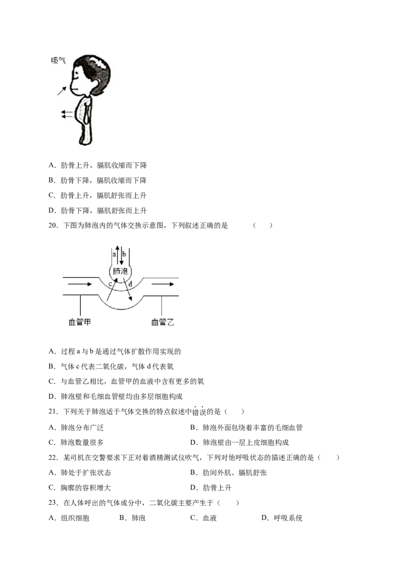 第三章人体的呼吸（满分培优卷）-2021-2022学年七年级生物下册基础与培优高效突破测试卷（人教版）（原卷版）_new_1、初中学习资料_4-6、生物_4-6-2、初一生物下册