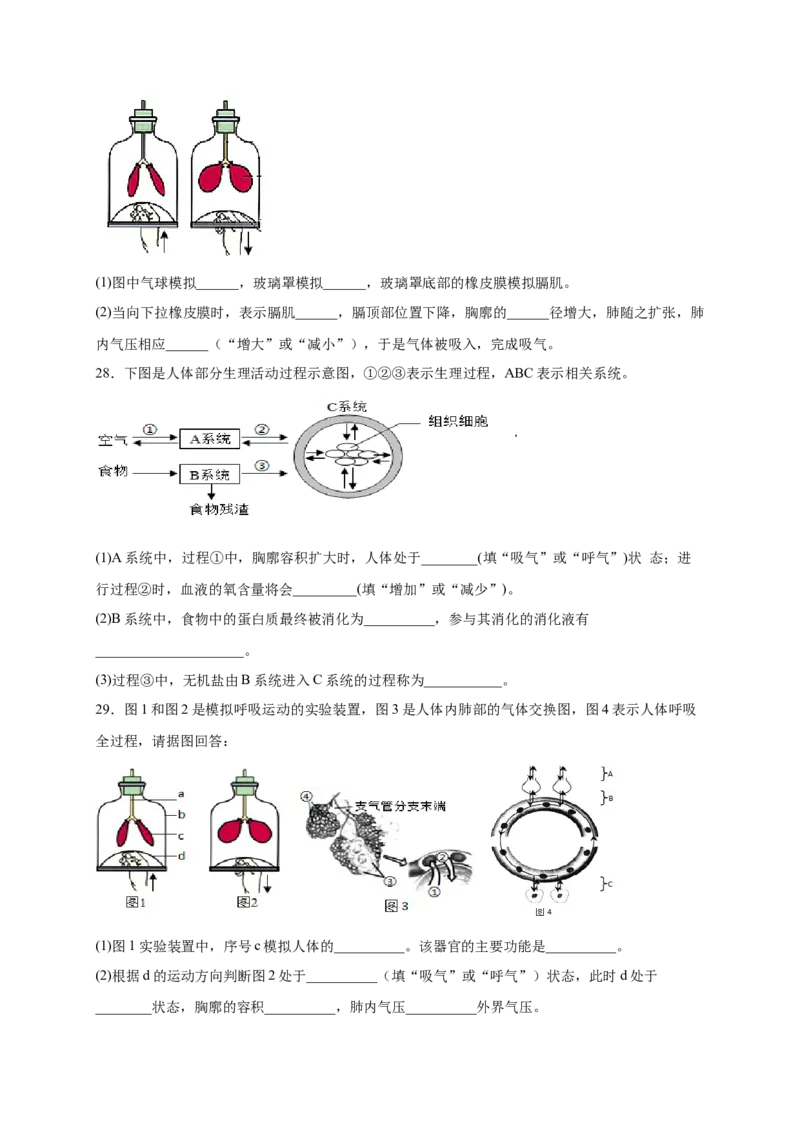 第三章人体的呼吸（满分培优卷）-2021-2022学年七年级生物下册基础与培优高效突破测试卷（人教版）（原卷版）_new_1、初中学习资料_4-6、生物_4-6-2、初一生物下册