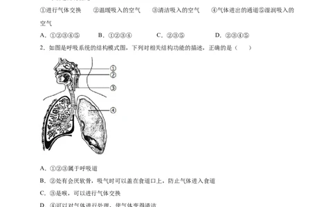 第三章人体的呼吸（满分培优卷）-2021-2022学年七年级生物下册基础与培优高效突破测试卷（人教版）（原卷版）_new_1、初中学习资料_4-6、生物_4-6-2、初一生物下册