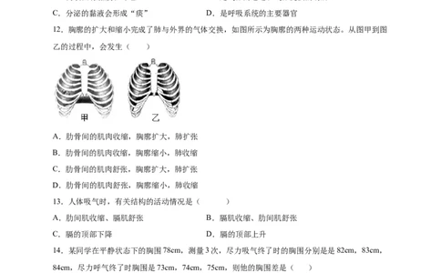 第三章人体的呼吸（满分培优卷）-2021-2022学年七年级生物下册基础与培优高效突破测试卷（人教版）（原卷版）_new_1、初中学习资料_4-6、生物_4-6-2、初一生物下册