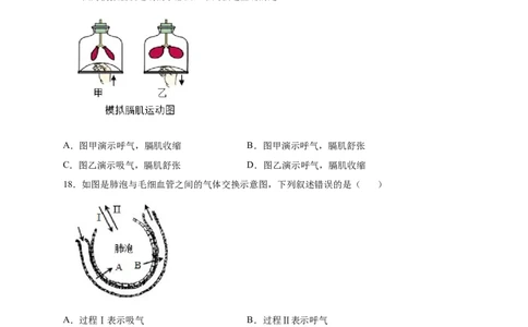 第三章人体的呼吸（满分培优卷）-2021-2022学年七年级生物下册基础与培优高效突破测试卷（人教版）（原卷版）_new_1、初中学习资料_4-6、生物_4-6-2、初一生物下册