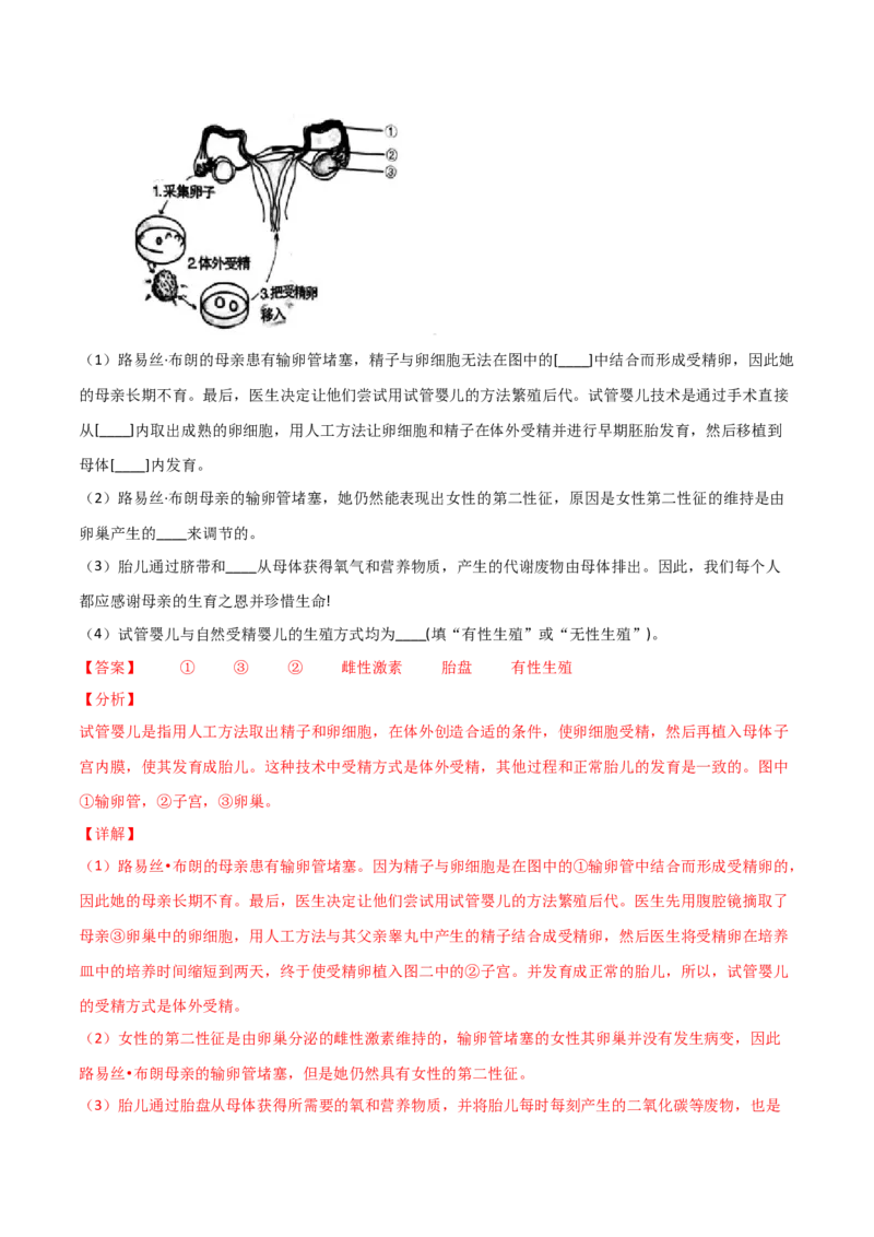 第01章人的由来单元测试（B卷&middot;提升能力）（解析版）_1、初中学习资料_4-6、生物_4-6-2、初一生物下册_单元测试（14份）