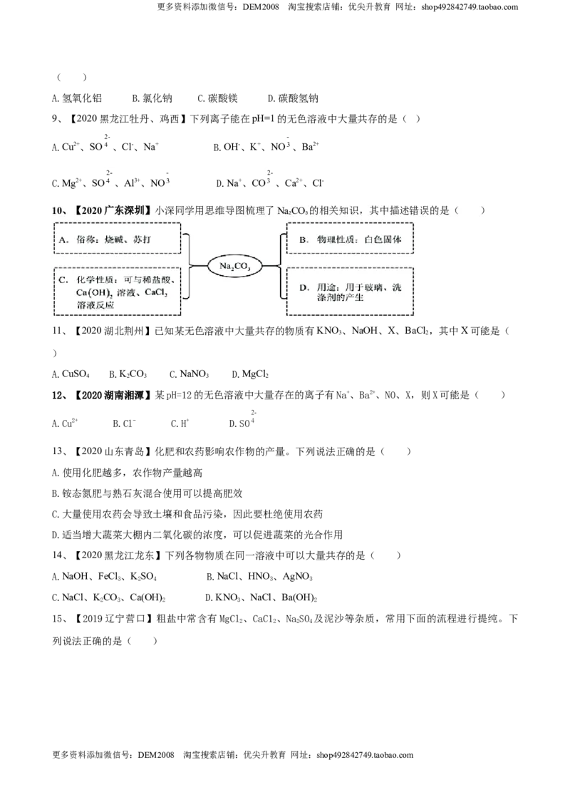 第十一单元盐化肥单元测试卷（B卷提升篇）（原卷版）-九年级化学下册同步单元AB卷（人教版）_1、初中学习资料_4-5、化学_4-5-5、初三化学下册_人教化学九年级下单元试卷（040份）
